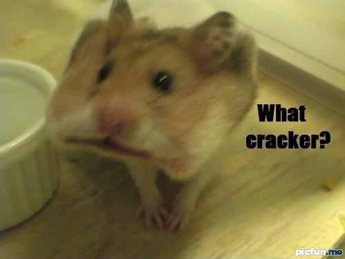 cracker.jpg