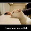 download-me-a-fish.jpg