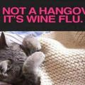 wine-flu.jpg