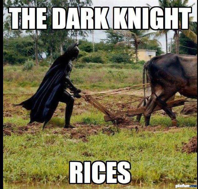 dark-knight-rices.jpg