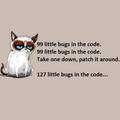 little-bugs-in-the-code.jpg