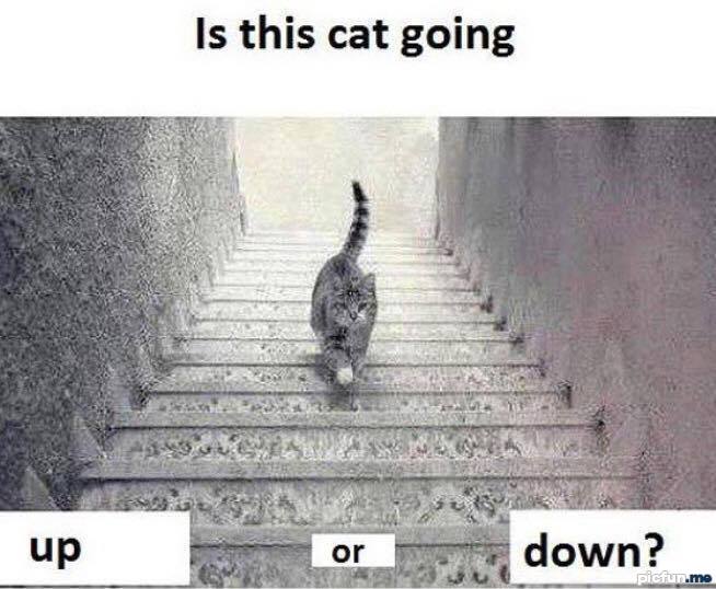 up-or-down.jpg
