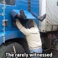 birth-of-truck-driver.jpg