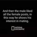 mating.jpg